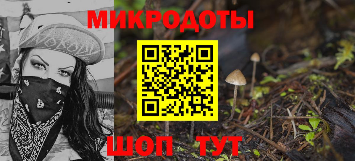 Псилоцибиновые грибы Psilocybe Шали