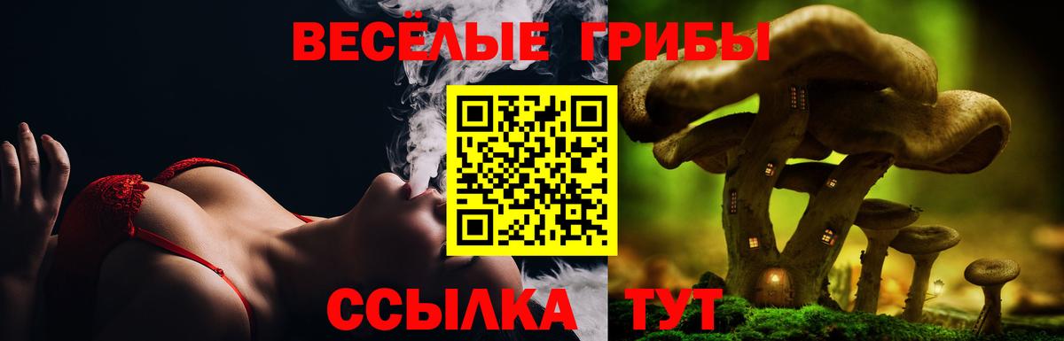Псилоцибиновые грибы прущие грибы  купить закладку  Шали  Вход с VPN 